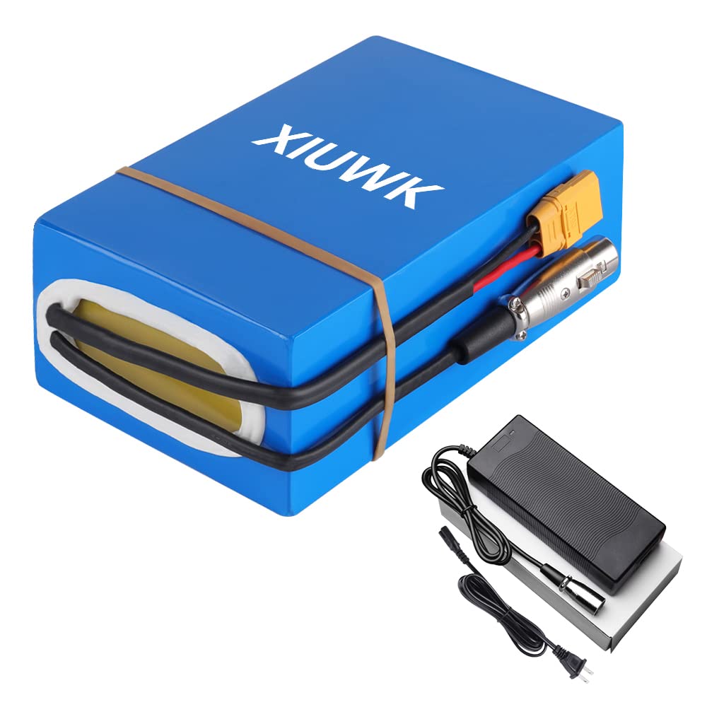 Amazon.com: XIUWK 72V 30AH 50A Lithium Battery Pack with Charger
